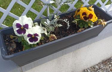 Entre 2 Châteaux - Foto 17