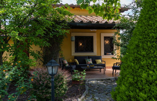 Olive Grove Sabina - Foto 31