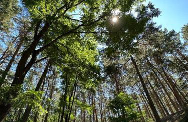 Summer House - Foto 11