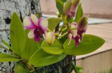 Uma Casa para o Descanso! - Foto 20