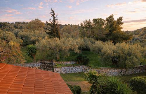 Blue Dandelion - Photo 10