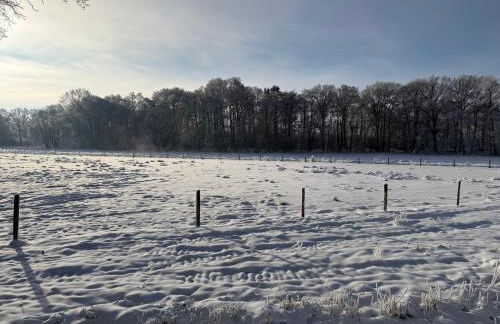 Ferienwohnung Dreyershof Land & Ruhe - Foto 31