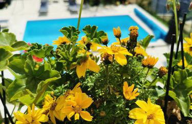 Family-friendly apartments with swimming pool Kastel, Central Istria - Sredisnja Istra - 21309 - Foto 9