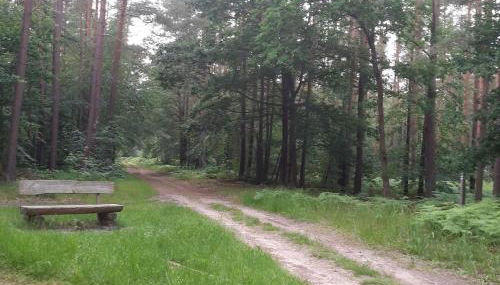 Wiesenblick - Foto 4