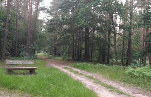 Wiesenblick - Foto 4