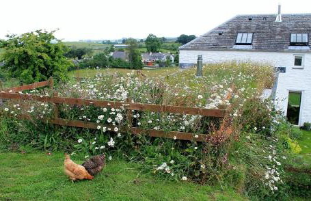 The Coach House at Durhamhill with llamas & games room mini cinema - Foto 45