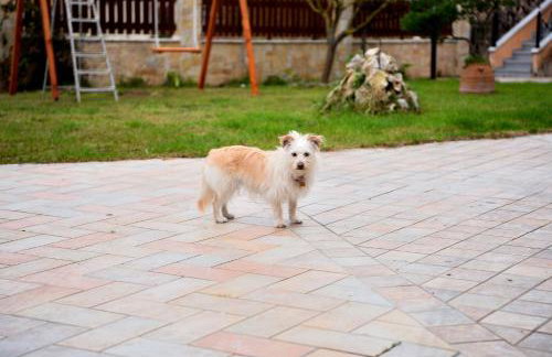 Casa Eleni - Foto 28