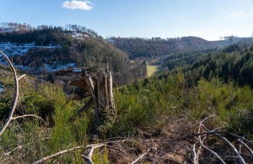 Ferienwohnung am Waldrand - Foto 23