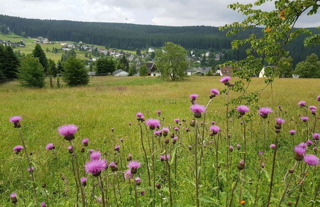 Gutsweg One - Apartment 3 - Foto 18