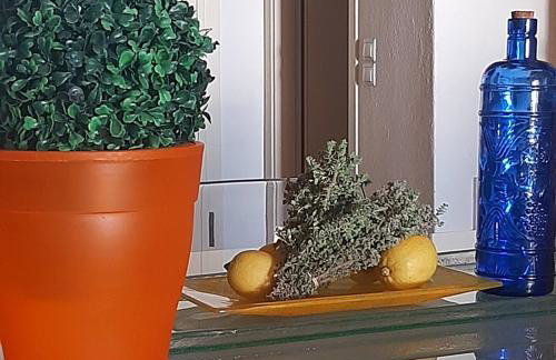 Magic Mola - Foto 26