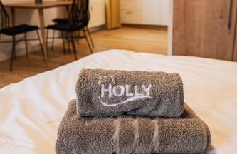 ALEXBAD Ferienwohnungen - Foto 10