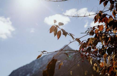 Mountain Mama Ferienhaus - Foto 20