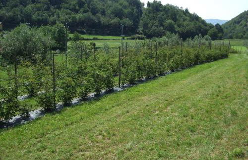 Agriturismo Cascina Rossano - Foto 85