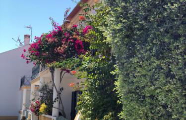 Casa da Oliveira - Foto 1