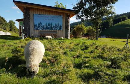 Ferienwohnung am Schneeberg - Foto 62