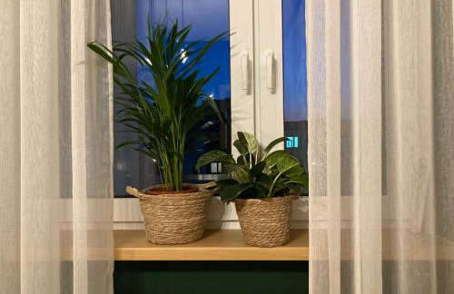 Apartamenty Termalne GREEN Apartment - Foto 53