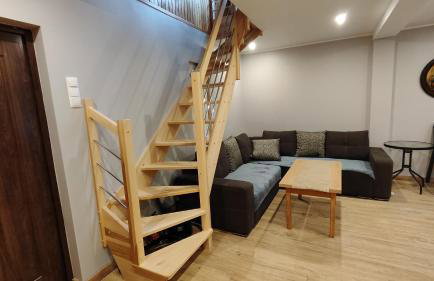 Ranczo Bieszczady duży Domek z Jacuzzi i Sauną - Foto 26