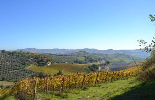 Agriturismo Fiorano - Foto 12