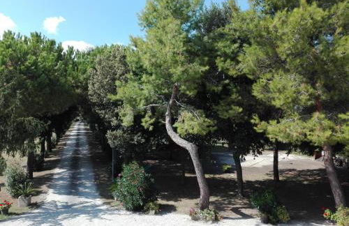 Silos Torrenova - Foto 11