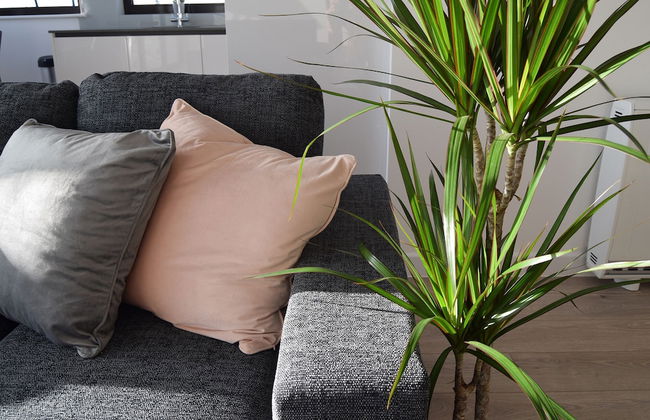 Morland House Apartments - Foto 53