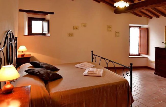 Bellavista farm of Quercini Maurizio - Foto 71