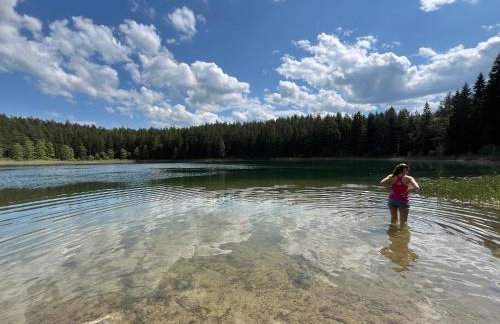 Domek wypoczynkowy Letnisko Sosenkowo - Foto 65