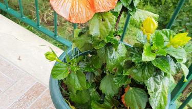 Casa Nives in Villa Emilia - Foto 3