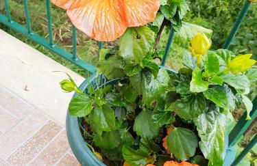 Casa Nives in Villa Emilia - Photo 3