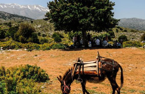 Enagron Ecotourism Village - Photo 58