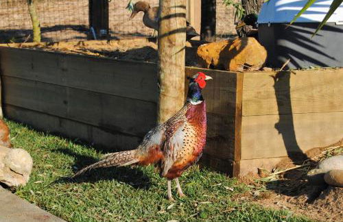 Monte Calmaria by Estilo Lusitano, with private pool and Jacuzzi - Foto 31