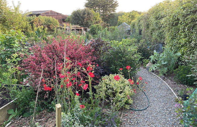 Little Linney - Sleeps 2 - Garden - Wifi - Parking - Photo 48