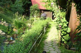 Ropuszy Dwór - Foto 28