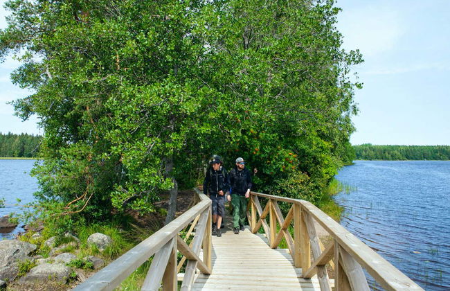 Trilha pelo Parque Nacional Liesjärvi - Foto 8