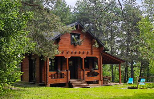 El Pi Solitari - Photo 1