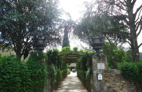 Solar Quinta da Portela - Douro - Photo 50