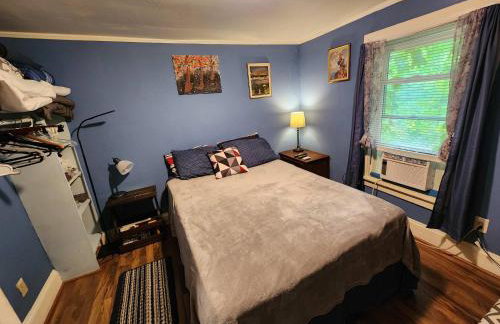 Cozy 3 Bedroom House in Downtown Ithaca - Foto 15