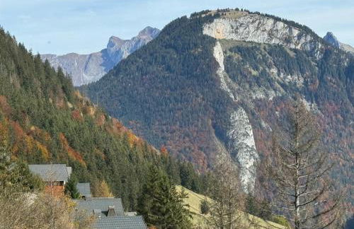 2-bed appt 20 mins from Morzine Portes du Soleil French Alps - Foto 37