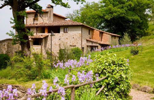 ISA-Farmhouse with swimming-pool in Chianti-area in the middle of Tuscan nature - Foto 7