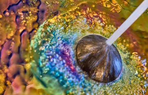 Chalet Schlossberg Schlern - Photo 11