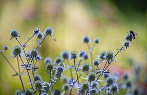 Agriturismo GaiaSofia - adults only - Foto 34