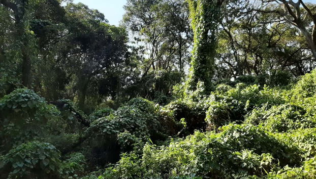 Tour in Formosa - Foto 3