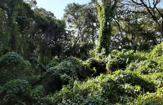 Tour in Formosa - Foto 3