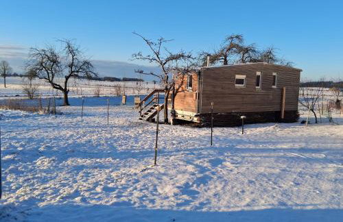 Tinyhaus Lara - Foto 4