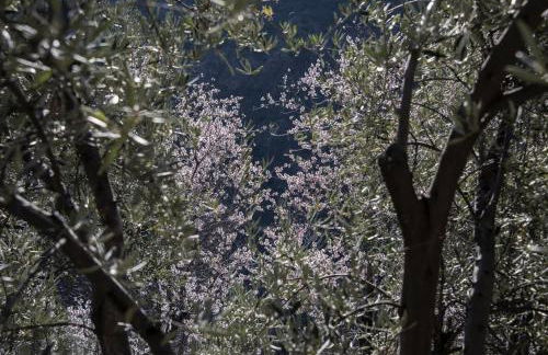 Cortijo La Viñuela - Foto 61