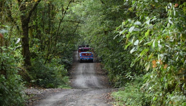 Senderismo por el Santuario Otún Quimbaya - Foto 5, Recorriendo el santuario