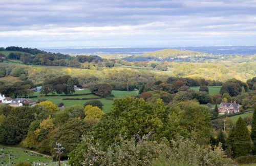 Zonnebloem - Foto 30