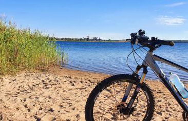 Ferien im Gartenrausch - Gönn Dir eine Auszeit im Herzen von Wörlitz - Foto 30