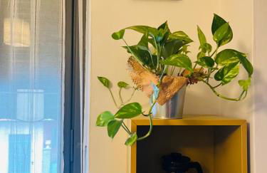 La pausa del viaggiatore - Photo 10