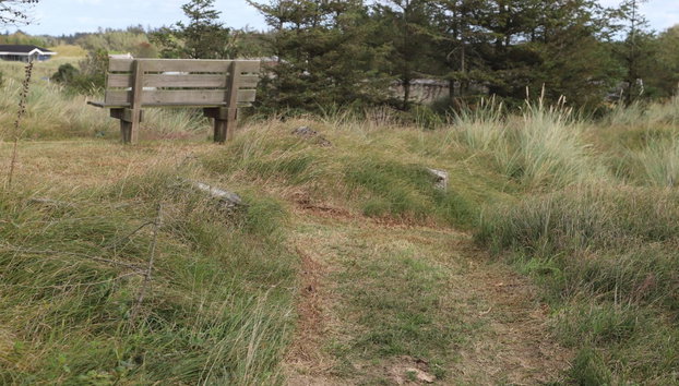 "Vanamo" - 300m from the sea - Foto 2, Outdoor