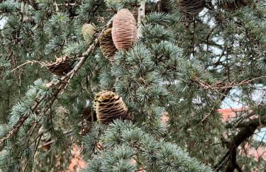 GRANDMA MARY Appartamento nel verde con Ascensore Balcone AC Internet Veloce GIUDECCA VENEZIA - Foto 3
